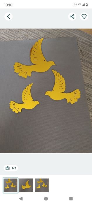 Złote gołębi sprzedam