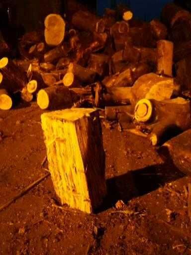 Lenha de mistura recuperador, salamandra e fogao cozinha