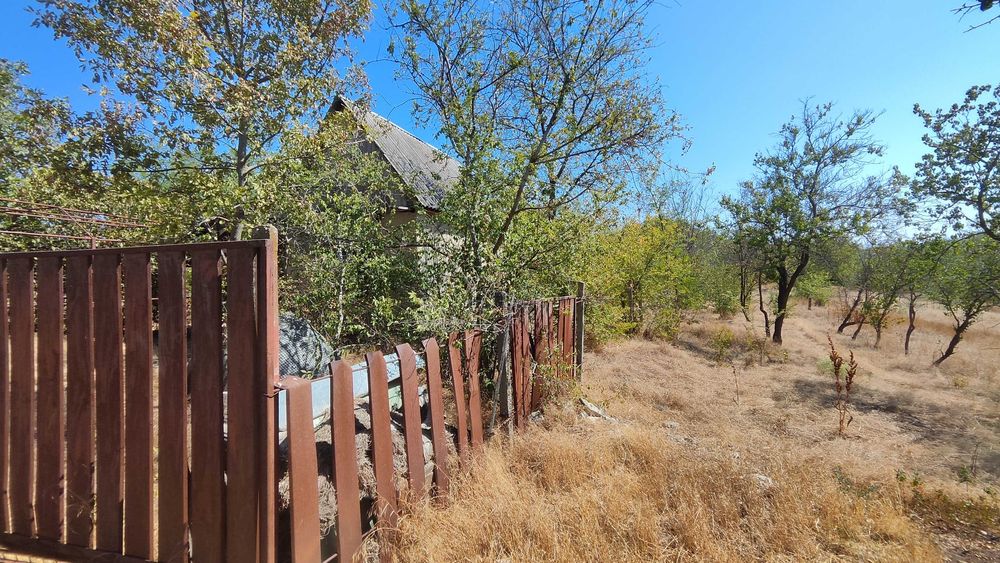 Продаю участок-дачу Доброалександровка, Альфа