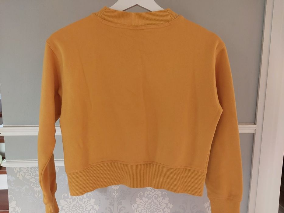 Bluza marki Champion