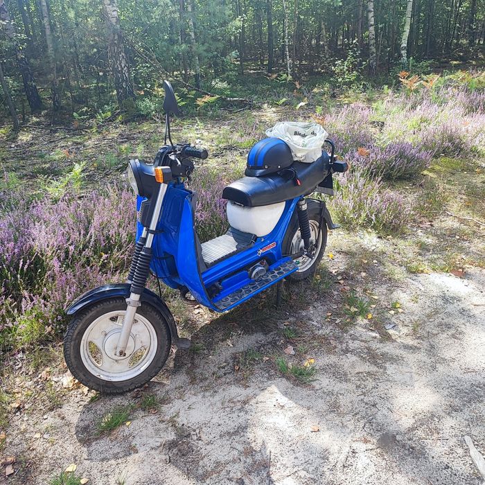 Simson