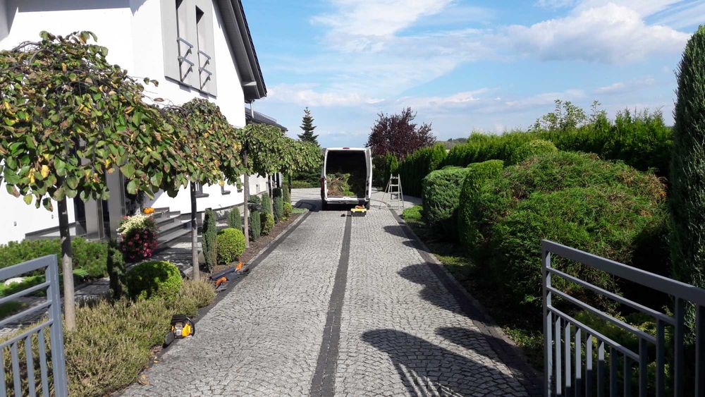 Przycinanie tuji, drzew, krzewów z wywozem odpadów pielęgnacje ogrodów