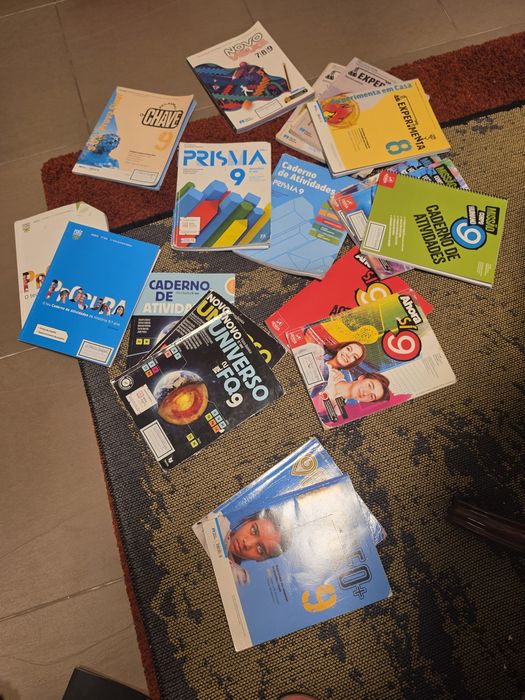 Livros/manuais 9 ano