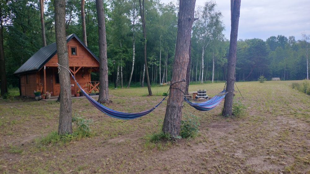 Domki letniskowe nad stawem.