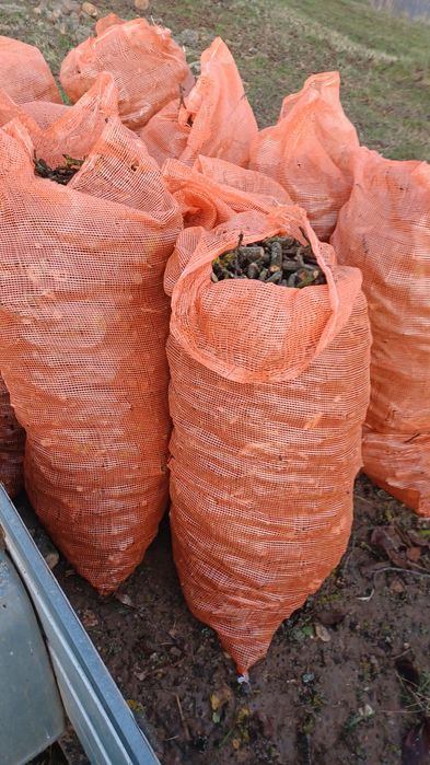 Drewno z rebaka w workach