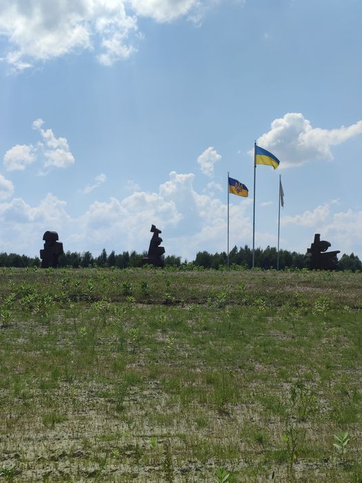 Продам участок 8сот. под застрой со светом с.Богдановка Броварск.район