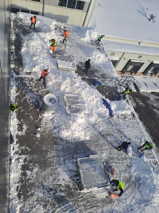 Odśnieżanie Dróg,Parkingow,Dachow 24h