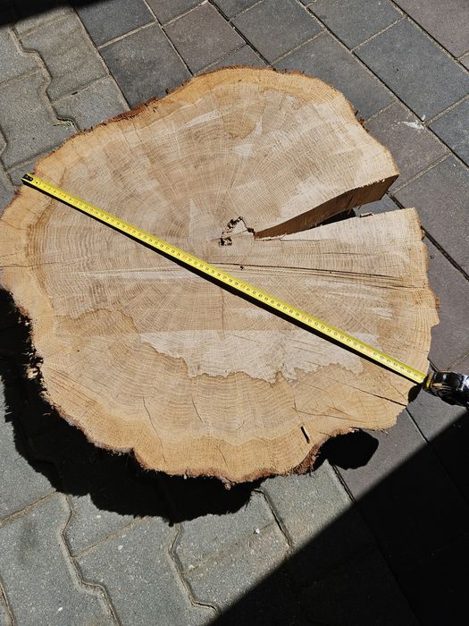 Krążek dębowy grubość 9cm