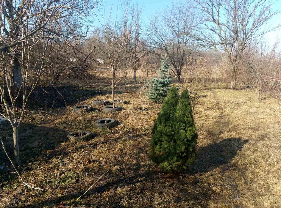 Продам будинок з усіма зручностями  Білецьківка