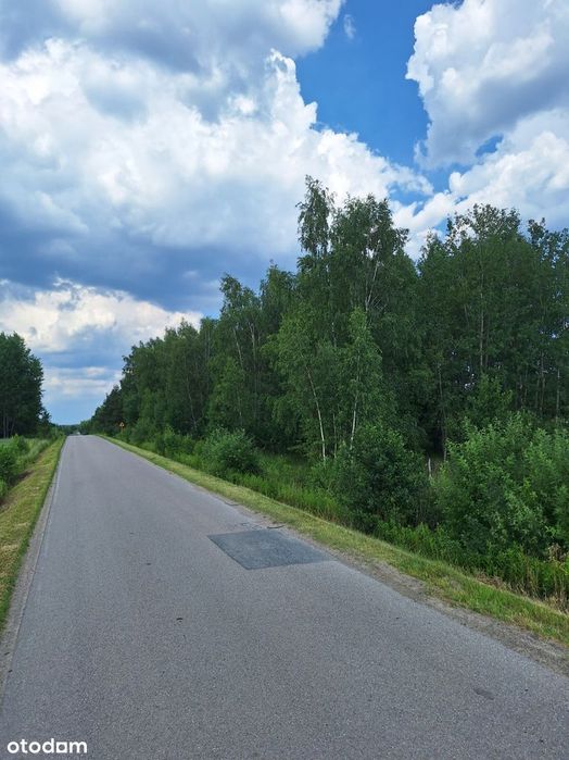 Piękna działka budowlana Przytoka 1000m Kałuszyn, Mińsk Maz. media! - Widok 4