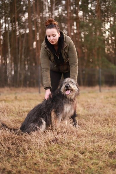 Poznajcie Rokiego, jest pogodny, oddany. Chciałby mieć dom