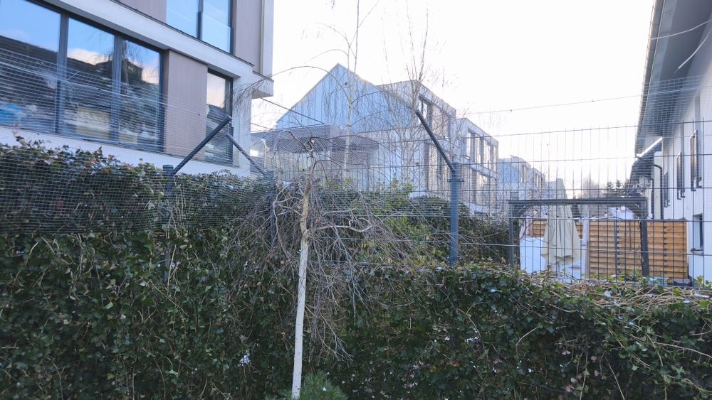 Siatka ochronna dla kotów.