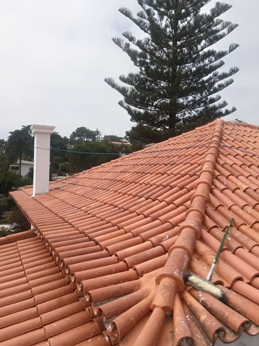 Trabalhos de  limpeza  e pintura de telhados algeroz