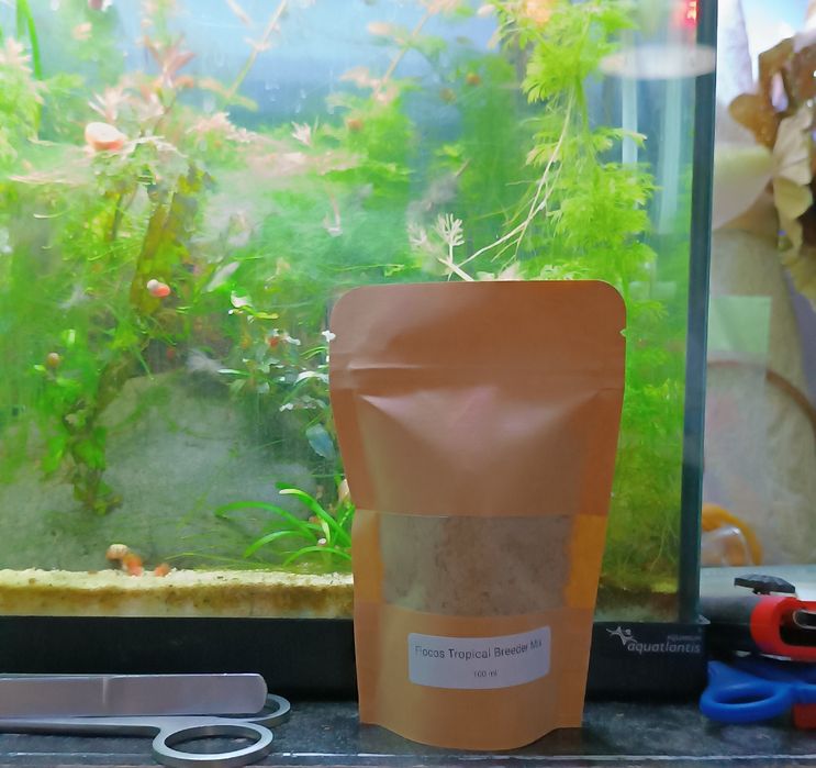 Comer Flocos para Peixes