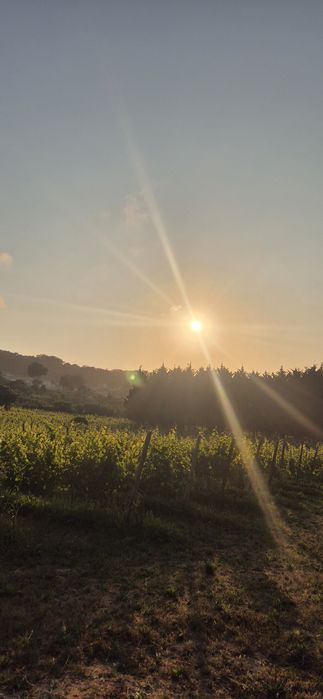 Alugam-se Salas para Estúdio Fitness, Yoga, Consultas e Serviços de Be64661813348227121