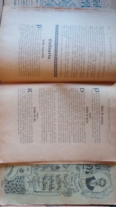 Encyclopedia das Famílias de Manuel Lucas Torres