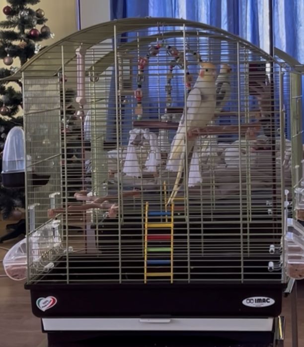 Клетка для попугаев IMAC Italia