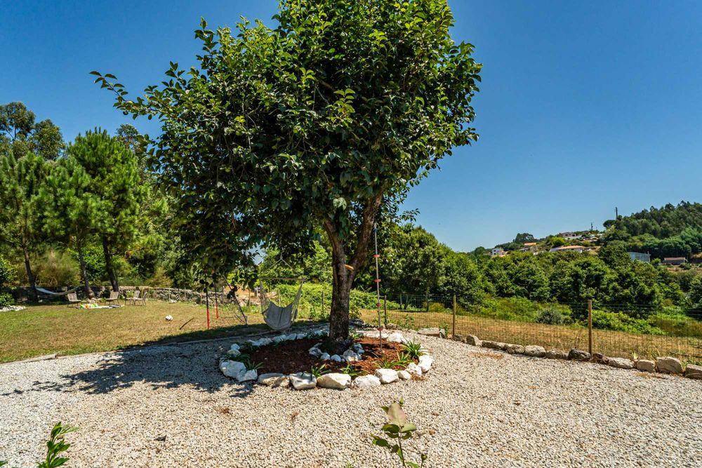 Festas de aniversário e Pequenos Eventos