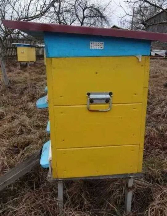 Бджолосім'ї з вуликами