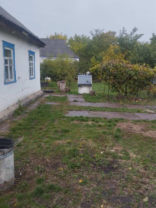 Продам будинок в Киівській області