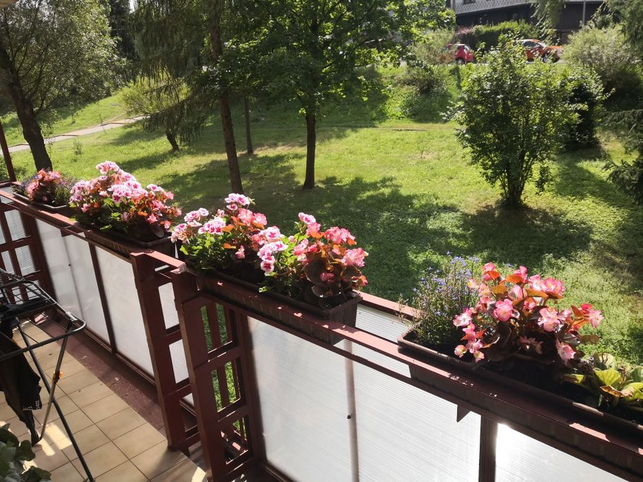 Mieszkanie – Kraków - Widok 4