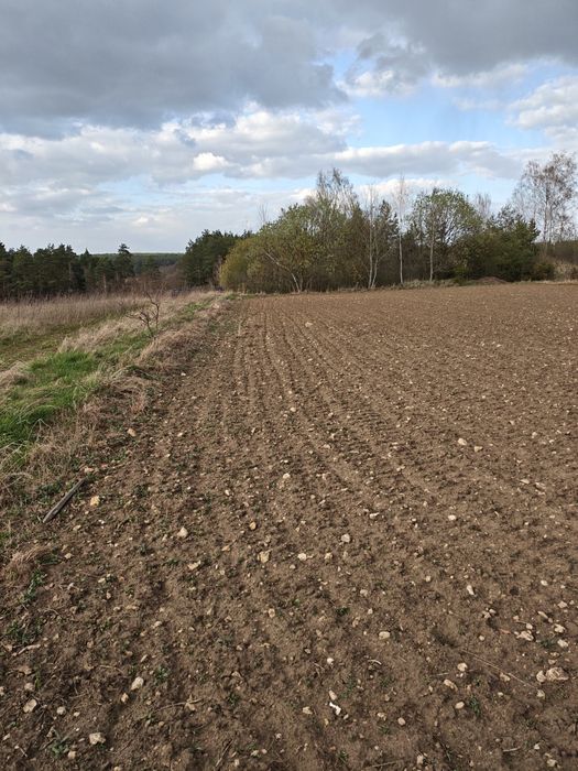 Działka budowlana Zalesiaki