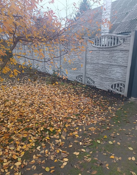 Газіфікований будинок