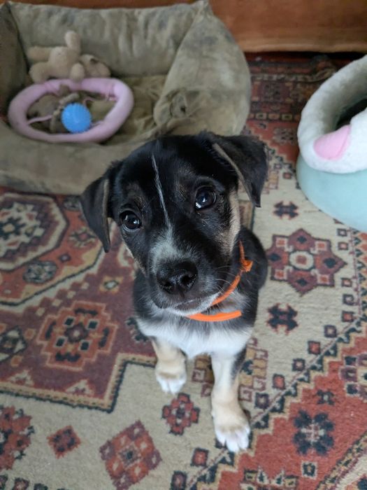 Возьмите ребенка в семью