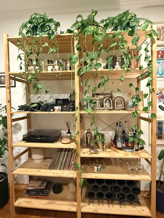 Estante de madeira IVAR da IKEA, em ótimo estado  (174x50x226)