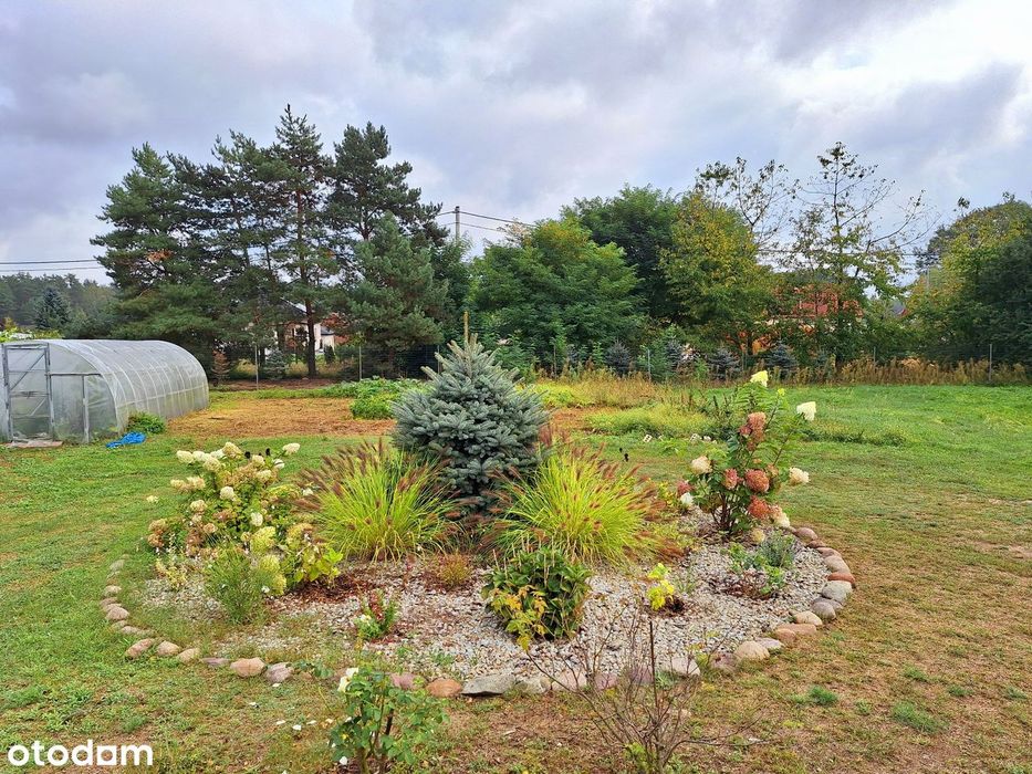 Działka 12ar. w cichej i spokojnej okolicy - Zalesie -Kożlice.