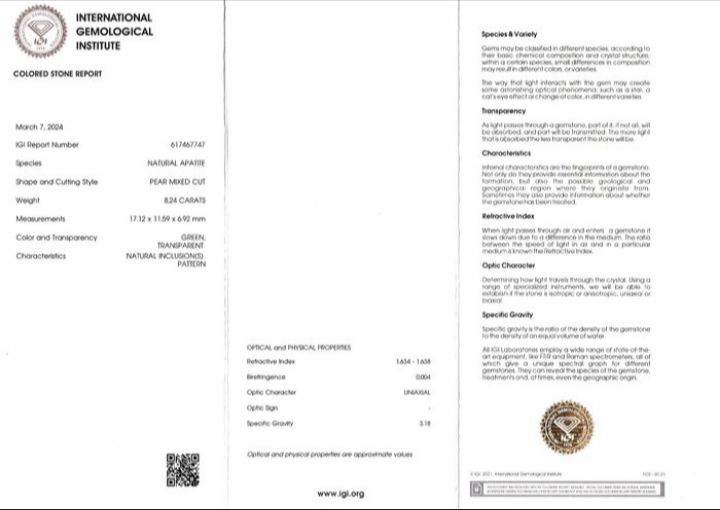 Apatita Natural 8,24 CT com certificação IGI