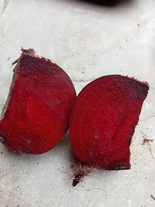 Burak okrągły 25 kilo wysyłka InPost paczkomat prosto od producenta