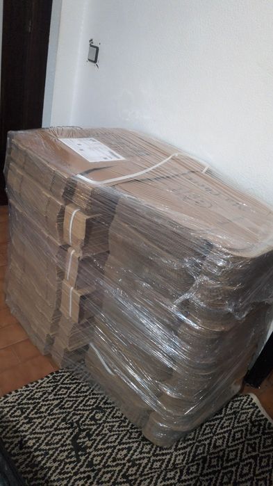 Lote de Cartão/Papelão para Proteção e Humidade - Ideal Limpezas