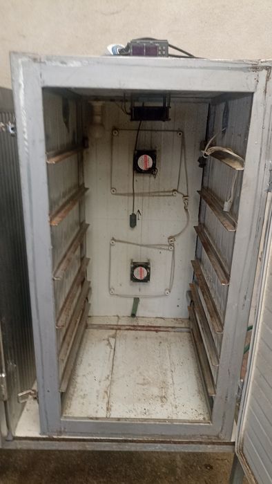 Chicadeiras e jaulas para postura