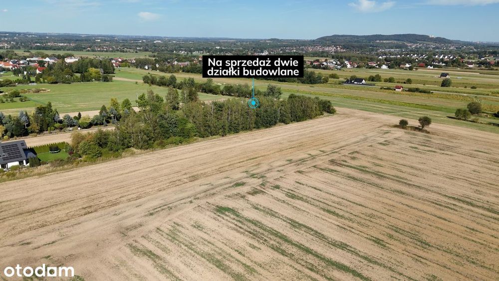 Zdjęcie 7