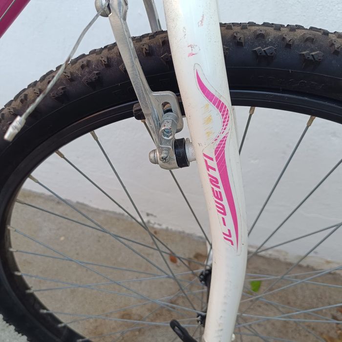 Bicicleta Adolescente Roda 26