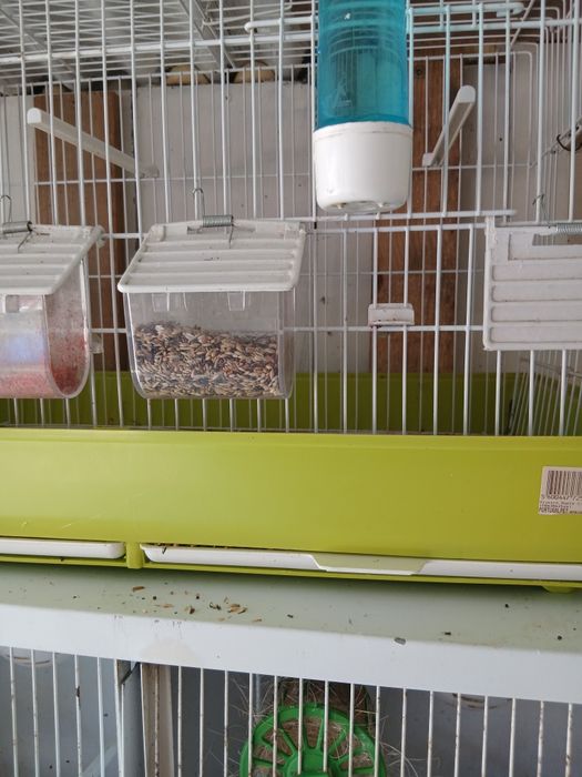 Vendo gaiola usada