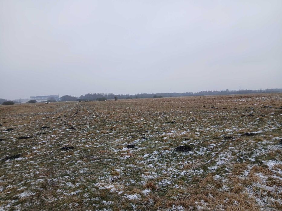 Sprzedam łąkę Rozwarzyn