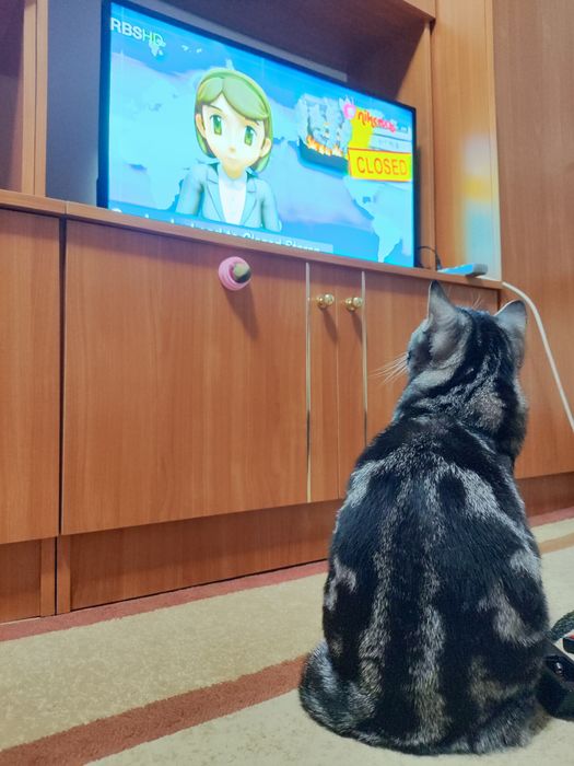 Терміново! Телевізор Elenberg