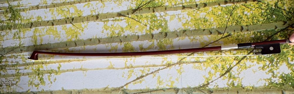 Violoncelo 4/4 seminovo