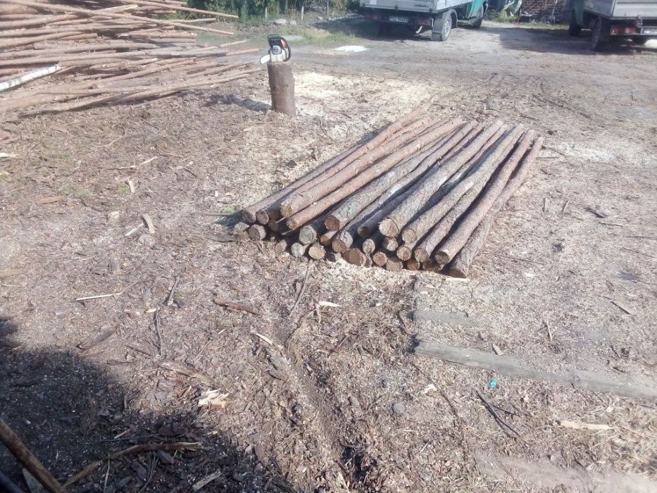 STEMPLE sosnowe,budowlane dł. 2,5 M-3,5 M,słupki ogrodzeniowe