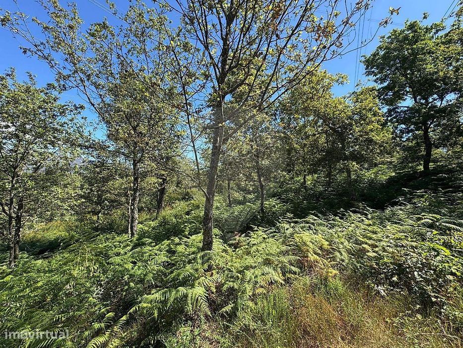 Terreno  para venda
