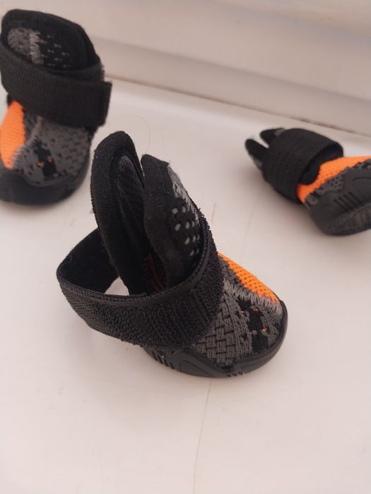 Взуття для собачки