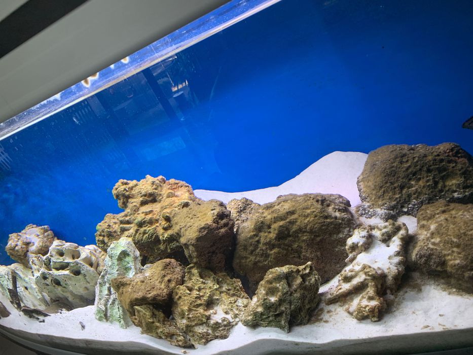 AQUAEL akwarium owal 320 litrów ze sprzętem i stolikiem