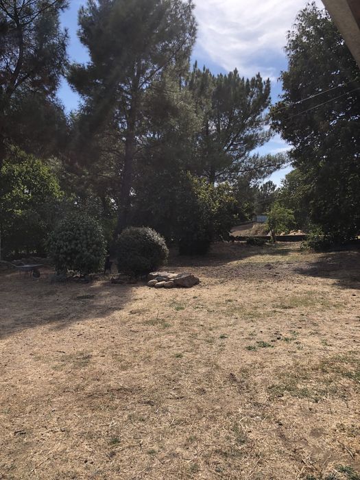 Herdade de 4000m2 perto da Guarda