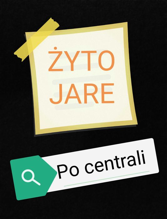 Żyto jare - pierwszy rok po centrali - zyto jare