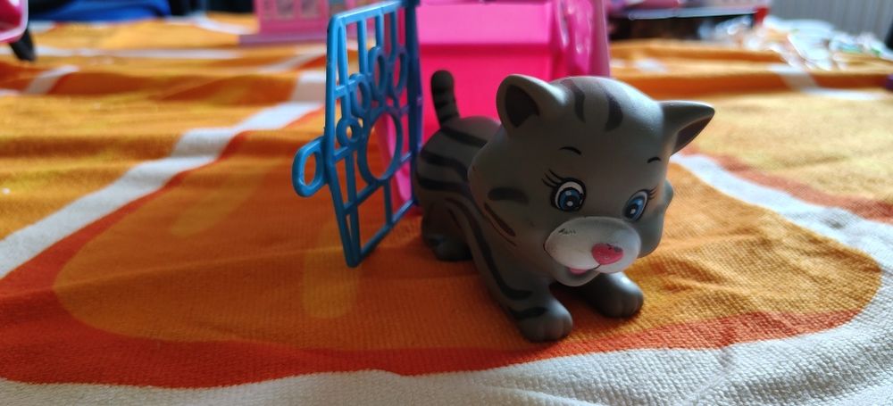 Kot kotek w transporterze