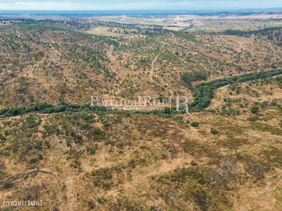 Propriedade agroflorestal com 39 hectares em Idanha-a-Nova