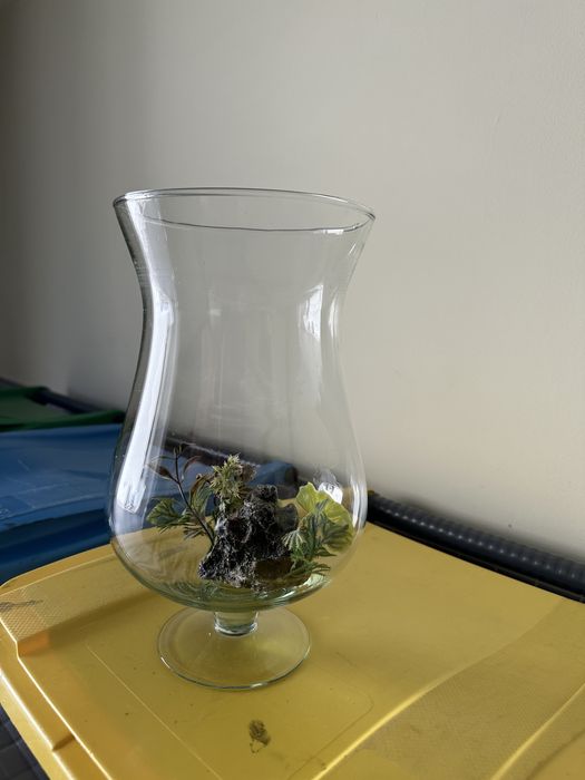 Aquário para peixes de água fria