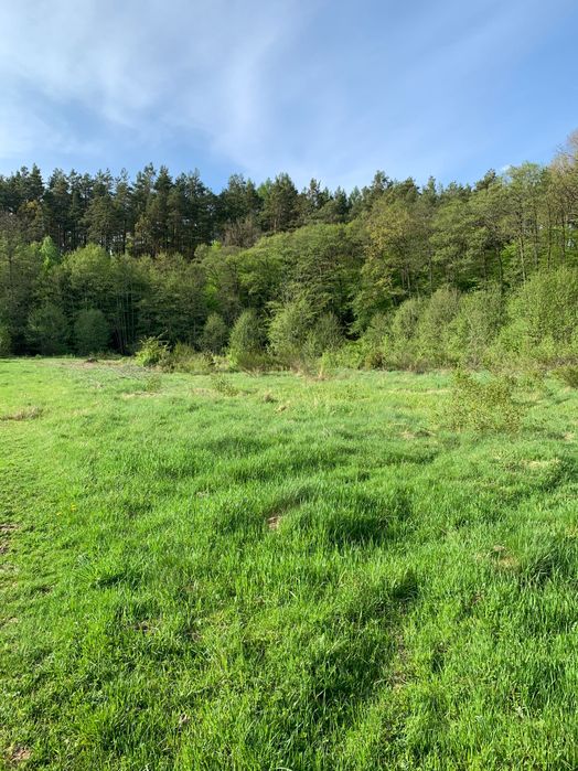 Działka nad rzeką Rosnowo gm . Manowo